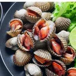 หอยแครงลวก