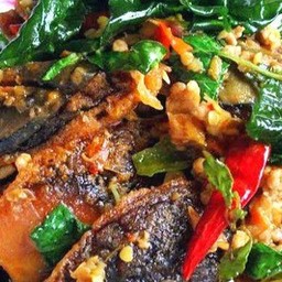 ผัดกระเพราไข่เยี่ยวม้าหมูสับ(กับข้าว)