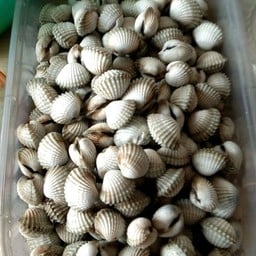 หมึกย่างสี่สามเอี่ยว