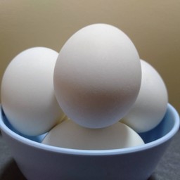 ไข่เค็ม