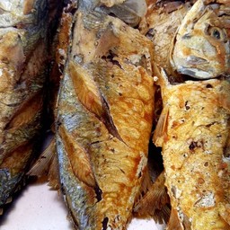 ปลาตาโตทอดขมิ้น