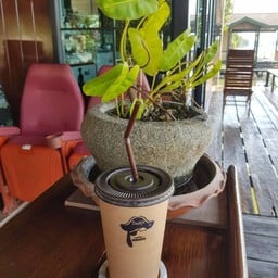 วันสุข ในสวน