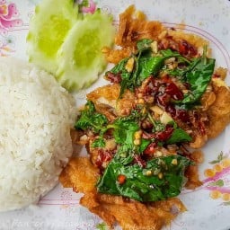ไก๊..ไก่ กะเพราไก่พริกแห้ง ซอยเขาตาโล(ปิดร้าน)