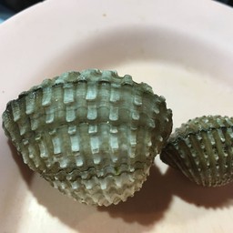 หอยแครง จัมโบ้