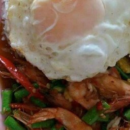 เจ้ แมวอาหารป่า