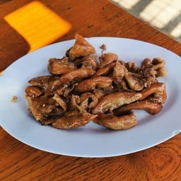 ไส้ย่าง.