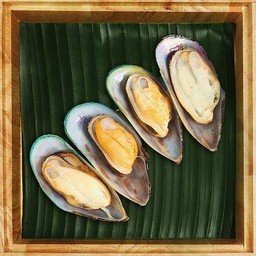 หอยแมลงภู่นิวซีแลนด์