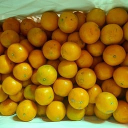 ร้านผลไม้สิริ