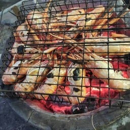 โคตรกุ้งเผา