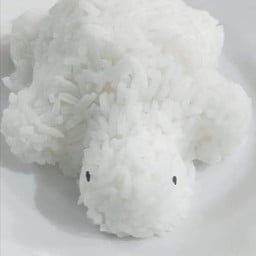 ข้าวเปล่า