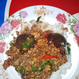 กระเพรารวมบก