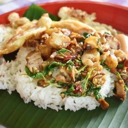 กระเพราหมูชิ้นไข่ดาว+ใส้กรอก - ตั๊กกระเพราถาด