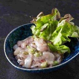 ทาโกะวาซาบิดอง (Tako wasabi)