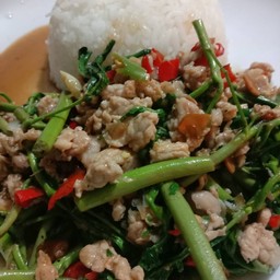 กระเฉดหมูสับราดข้าว
