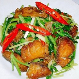 เนื้อกระพง ผัดคืนฉ่าย