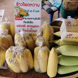 ร้านข้าวโพดหวาน   เซาก๊วยชากังราว