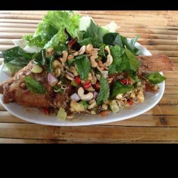 ครัวพัชชา