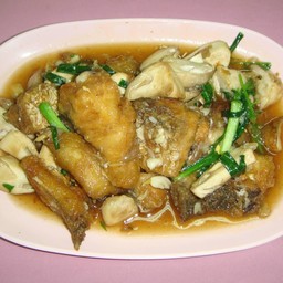 เนื้อปลากระพงผัดน้ำมันหอย (กับข้าว)