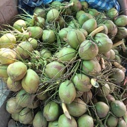 ร้านมะพร้าว ริมคลองทวีวัฒนา