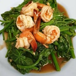 ผัดผักแม้วน้ำมันหอยใส่กุ้ง