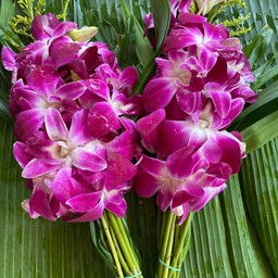 เจ้ฐาดอกไม้สดข้างวัง