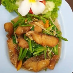 ปลาช่อนทอดผัดขึ้นช่าย