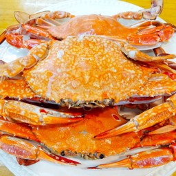 MENU_415281HM_1611300549