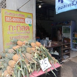 ร้านก๊ะสาวกะทิสด ภูเก็ต