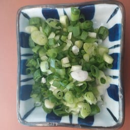 ต้นหอมไทย