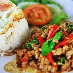 กระเพราหมูสับราดข้าว