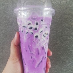 เผือกนมสด