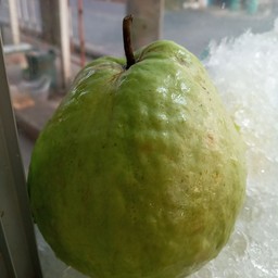 ฝลั่งสด