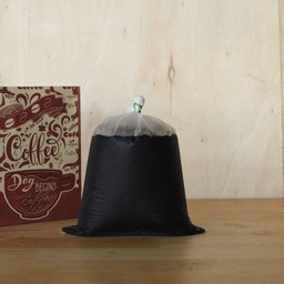 โอเลี้ยง