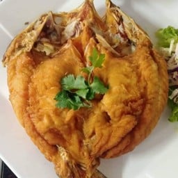 ร้านอาหารวีซาวน่า เพชรเกษม 43/1