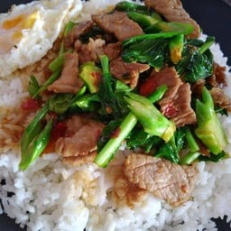 ข้าวคะน้าน้ำมันหอย..