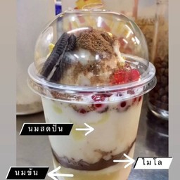 ไมโลดิบ