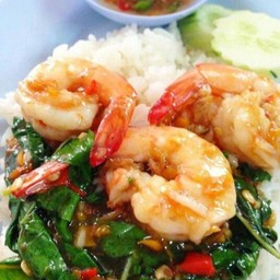 กระเพรากุ้งราดข้าว