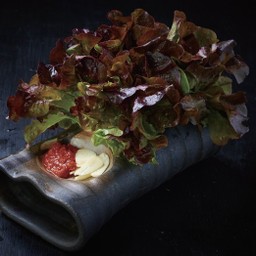 KOREAN LETTUCE
