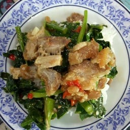 ข้าวราดคะน้าปลาเค็ม