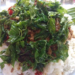 กะเพราไข่เยี่ยวม้ากะเพรากรอบ