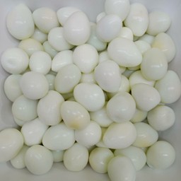 ไข่นกกระทา