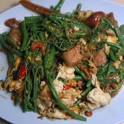 ยอดมะระผัดไข่