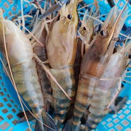 กุ้งย่าง/กุ้งสดสด น้ำจิ้มโคตรเด็ด