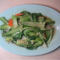 ผักกวางตุ้งผัดน้ำมันหอย