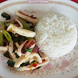 ปลาหมึกผัดกระเพาราดข้าว