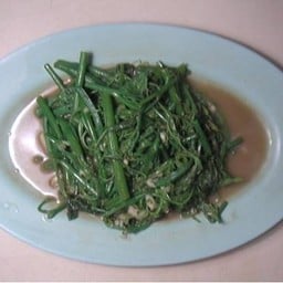 ยอดมะระผัดน้ำมันหอย