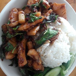 กระเพราปลาหมึกราดข้าว