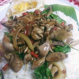 กระเพราเครื่องใน