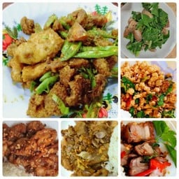 ผัดกะเพรา พริกแกง หมูกรอบ หมูชิ้น หมูสับ ไก่ เนื้อ หมูตุ๋น เนื้อตุ๋น