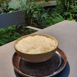 Jasmine Rice
